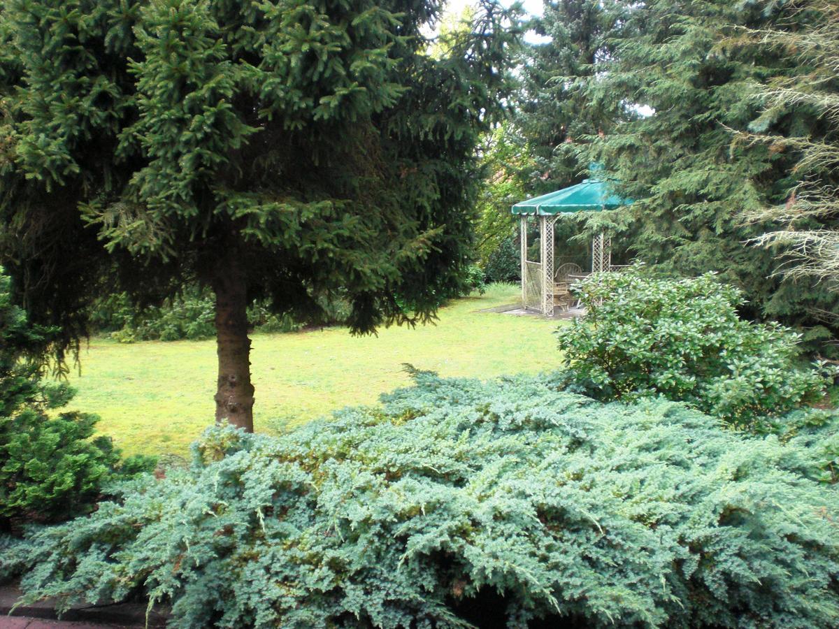 Hotel Garni Eichhornkobel Faßberg 外观 照片